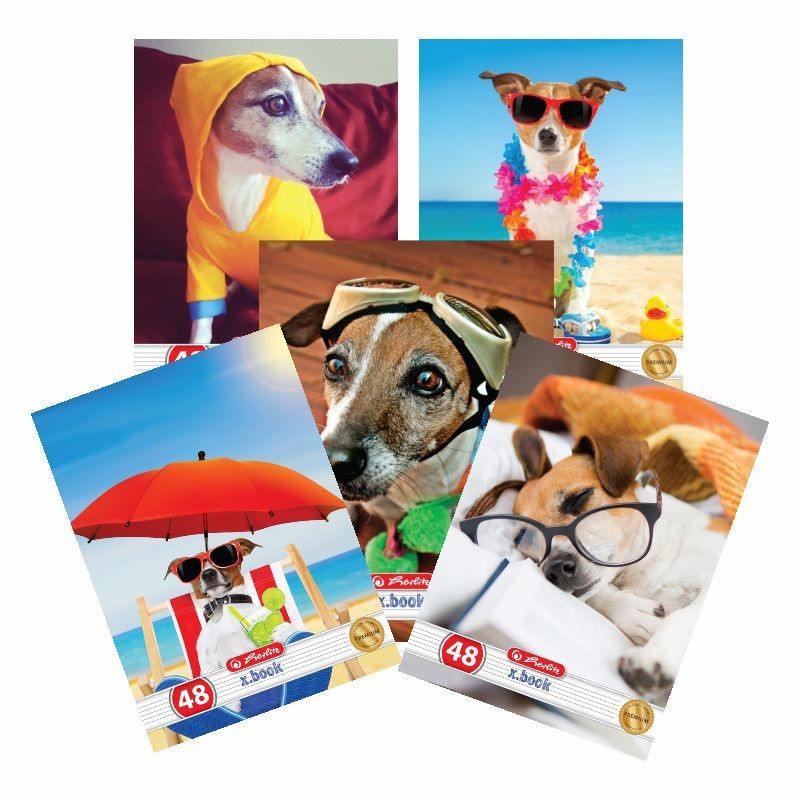 Set 10 caiete Herlitz Cool Dog A5, 48 File, 5 Dictando + 5 Matematica