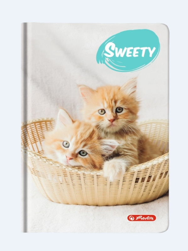 Agenda A6 Nedatata Sweety 352 File, Motiv Kittens Herlitz