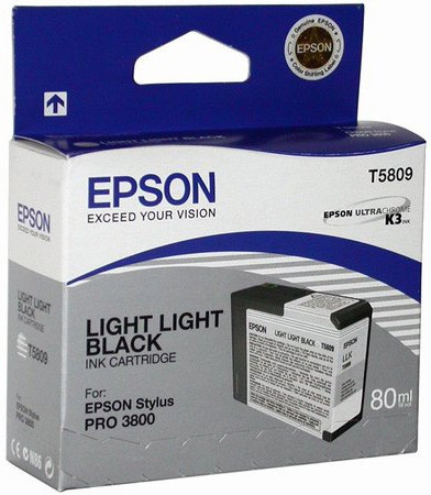 Cartus Cerneala Original Epson C13T580900, Gray