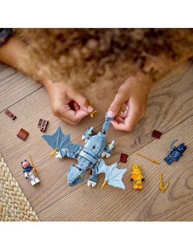 LEGO-71810,Lego Ninjago Tanarul Dragon Riyu 71810