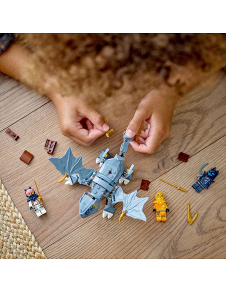 LEGO-71810,Lego Ninjago Tanarul Dragon Riyu 71810