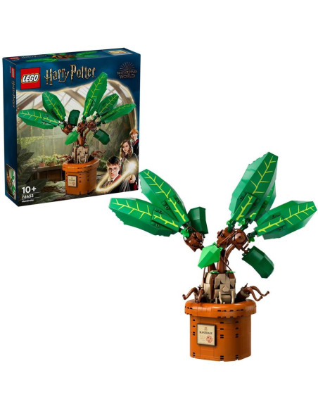 LEGO-76433,Lego Harry Potter Tm Matraguna 76433
