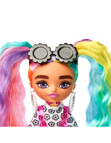 MTHGP62_HHF82,Barbie Papusa Barbie Extra Mini Cu Par Curcubeu
