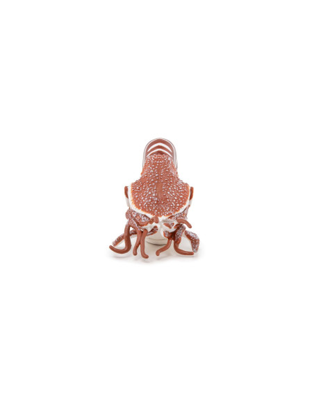 Papo56061,Papo Figurina Nautilus
