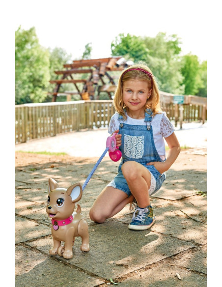 VV-105893264,Catelusul Poo Poo