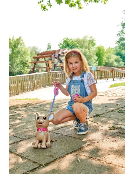 VV-105893264,Catelusul Poo Poo