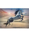 VV-10790,Puzzle Trefl 1000 Calul Maiestuos