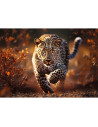 VV-10818,Puzzle Trefl 1000 Premium Plus Photo Odyssey Leopard
