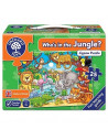 Puzzle cu activitati Cine este in jungla? WHO'S IN THE JUNGLE? Puzzle cu activitati Cine este in jungla? WHO'S IN THE JUNGLE?