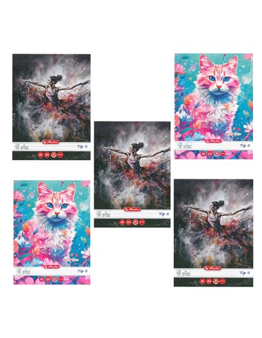 Set 5 caiete Tip II Herlitz A5, 24 file, 80g/mp, Motiv dinamic fete