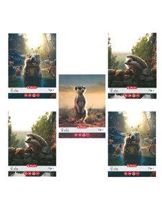 Set 5 caiete Tip I Herlitz A5, 24 file, 80g/mp, Motiv funny wildlife 2