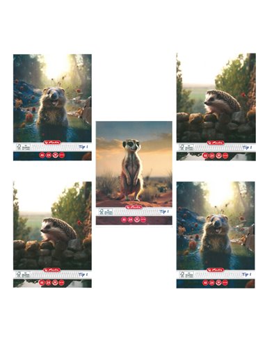 Set 5 caiete Tip I Herlitz A5, 24 file, 80g/mp, Motiv funny wildlife
