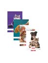 Set 4 caiete Tip II Herlitz A5, 24 file, 80g/mp, Motiv cute animals