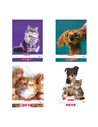 Set 4 caiete Tip II Herlitz A5, 24 file, 75g/mp, Motiv cute animals