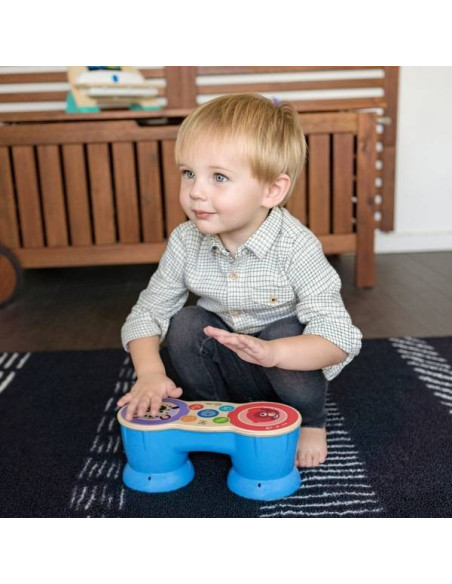 BB-12610,Baby Einstein - Jucarie muzicala Tobe Hape Magic Touch