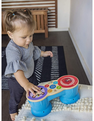 BB-12610,Baby Einstein - Jucarie muzicala Tobe Hape Magic Touch