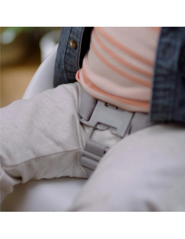 BB-16986,Ingenuity - Scaun de masa tip booster Simplicity Seat Easy Clean Gri