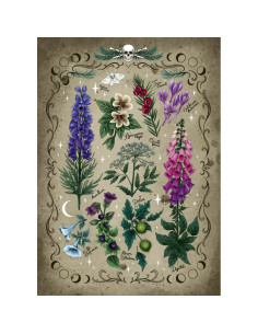 RVSPA00781,Ravensburger - Puzzle plante otravitoare 1000 piese