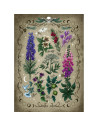 RVSPA00781,Ravensburger - Puzzle plante otravitoare 1000 piese