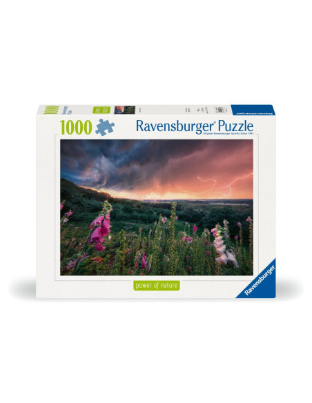 RVSPA00793,Ravensburger - Puzzle tunete 1000 piese