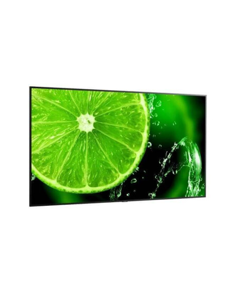 60005159,Display 86" NEC MultiSync® E868, UHD, IPS with Direct LED backlights, 400 cd/m², 18/7, media player