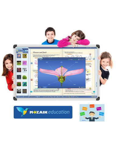 Moza-ED-mbml2,Software Mozabook MULTILANG, lectii interactive in timp real, licenta 1 / 2 ani