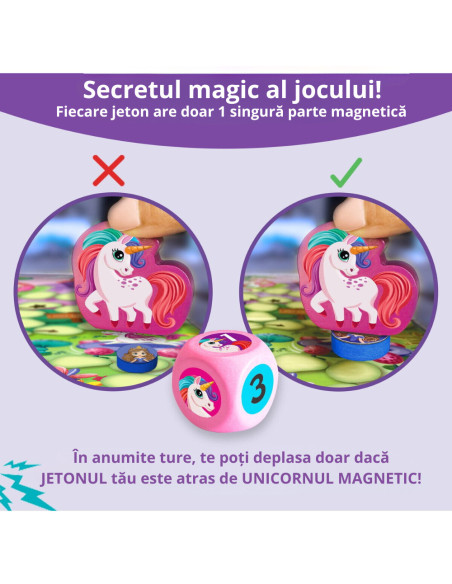 CCPPL117,Joc de societate magnetic - Cursa printeselor