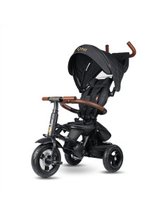 324038160D,Tricicleta pliabila Qplay Rito Deluxe Negru 2