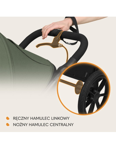 BN-LO-AZURA_GREEN_FOREST,Carucior sport, Lionelo, Azura, Cu 3 roti, Cu baldachin XXL impermeabil, Pliere compacta, Pana la 22 kg