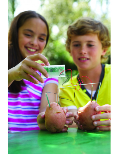 4M-03275,Kit stiintific - Ceas din cartof, Stiinta Verde - Green Science