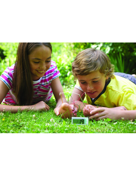 4M-03275,Kit stiintific - Ceas din cartof, Stiinta Verde - Green Science