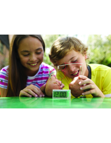 4M-03275,Kit stiintific - Ceas din cartof, Stiinta Verde - Green Science