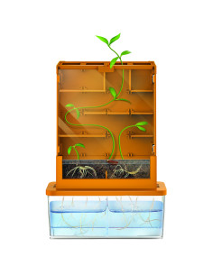 4M-03352,Kit stiintific - Creste un Labirint, Stiinta Verde - Green Science 2