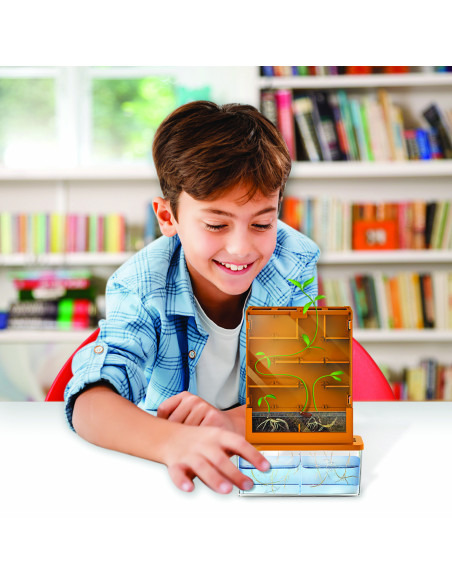 4M-03352,Kit stiintific - Creste un Labirint, Stiinta Verde - Green Science