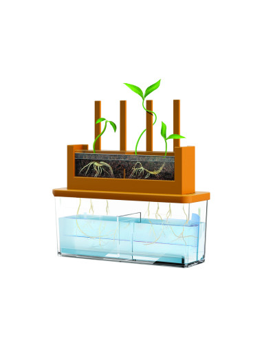 4M-03352,Kit stiintific - Creste un Labirint, Stiinta Verde - Green Science