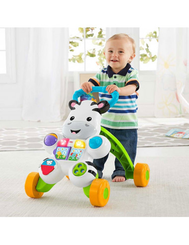 Premergator Fisher Price by Mattel Infant Zebra,MT-DLD80