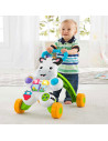 Premergator Fisher Price by Mattel Infant Zebra,MT-DLD80