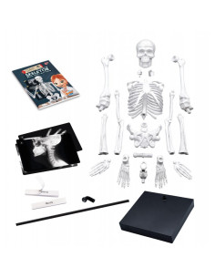 BK2181,Schelet 85 cm 2