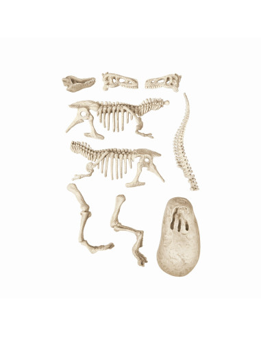 VV-1026-50908,Stiinta Si Joaca Descopera Dinozaurul T-rex Fluo