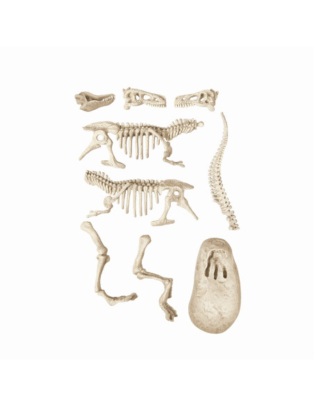VV-1026-50908,Stiinta Si Joaca Descopera Dinozaurul T-rex Fluo