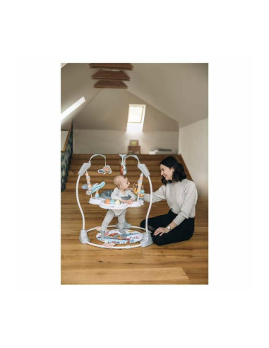 BN-82108,Jumper interactiv, FreeON, Jump&Play, Pana la 11 kg, Cu jucarii, Cu sunete si lumini, 0 luni+, Multicolor