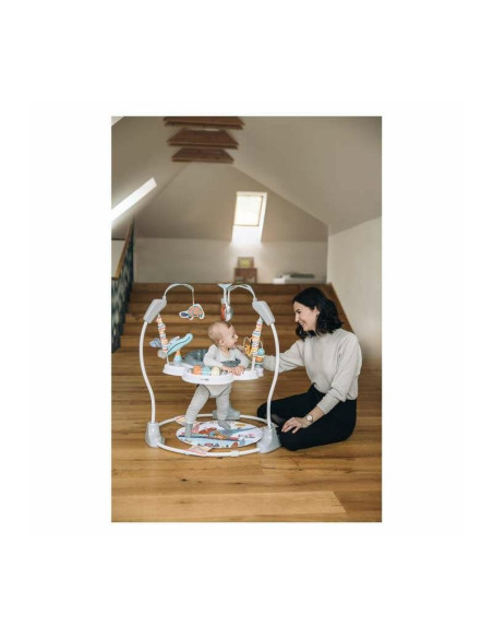 BN-82108,Jumper interactiv, FreeON, Jump&Play, Pana la 11 kg, Cu jucarii, Cu sunete si lumini, 0 luni+, Multicolor