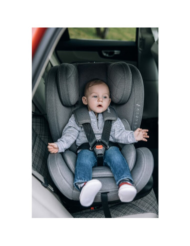 BN-81880,Scaun auto, FreeON, Sierra, Pentru copii, I-size, Nastere - 150 Cm, Rotire 360° grade, Tehnologie Isofix I-Size, Top Te