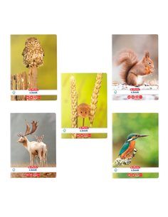 Set 5 x Caiet velin Herlitz A5, 48 file, 70g/mp, colturi rotunjite, Motiv animals