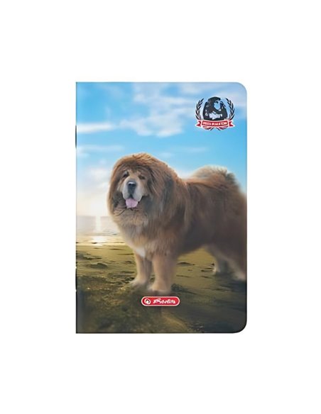 Caiet A5  Herlitz 9488470, 48 file, 70 g/mp, Motiv boss phantom