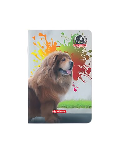 Caiet A5  Herlitz 9488470, 48 file, 70 g/mp, Motiv boss phantom