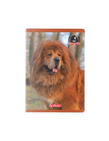 Caiet A5  Herlitz 9488470, 48 file, 70 g/mp, Motiv boss phantom