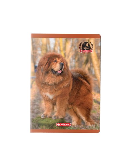 Caiet A5  Herlitz 9488470, 48 file, 70 g/mp, Motiv boss phantom