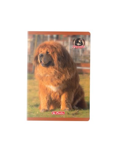 Caiet A5  Herlitz 9488470, 48 file, 70 g/mp, Motiv boss phantom