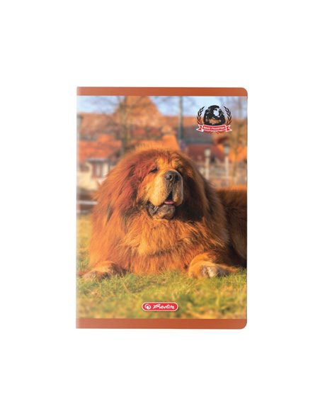 Caiet A5  Herlitz 9488480, 48 file, 70g/mp, Matematica, Motiv boss phantom